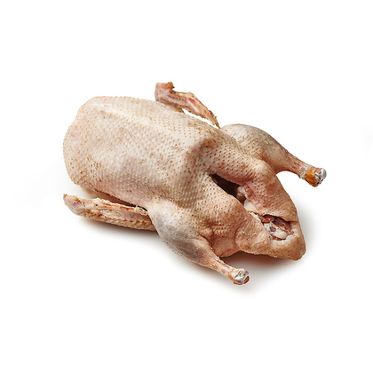 Гусь тушка Гусь тушка