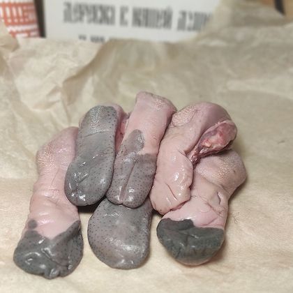 Язычки барана Язычки барана