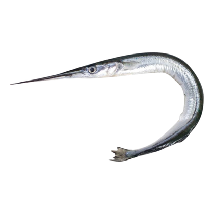 Сарган черноморский свежемороженый Вылов 2025г - упаковка 1 Кг. Сарган черноморский свежемороженый Вылов 2025г - упаковка 1 Кг.