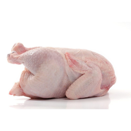 Курица несушка Курица несушка