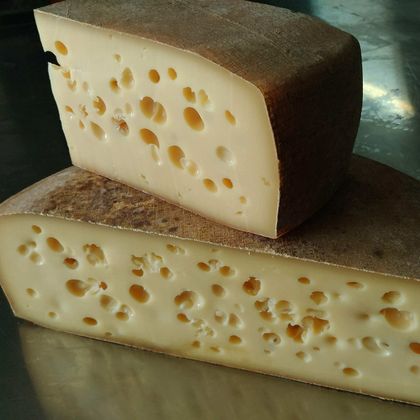 Маасдам Маасдам