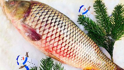 Сазан охлажденный Сазан охлажденный