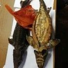 Осетр горячего копчения