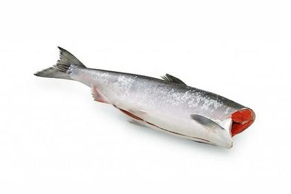 Нерка штучной заморозки потрошеная без головы (коробка 25 кг) - упаковка 25 Кг.