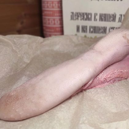 Язык телячий Язык телячий