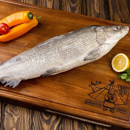 Тушка муксуна непотр. свежемороженая Тушка муксуна непотр. свежемороженая