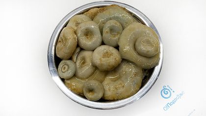 Груздь белый соленый, Россия, (на разв.)