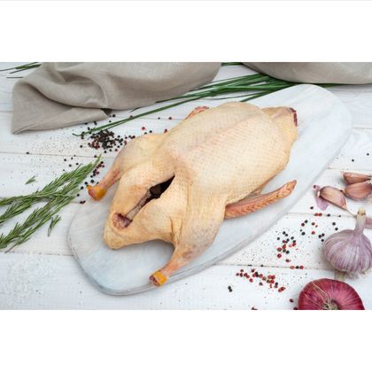 Тушка утки Тушка утки