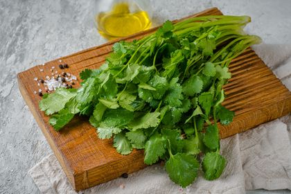 Кинза