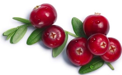 Ягоды Красники (Клоповки) замороженные без сахара 1 литр. Сахалин