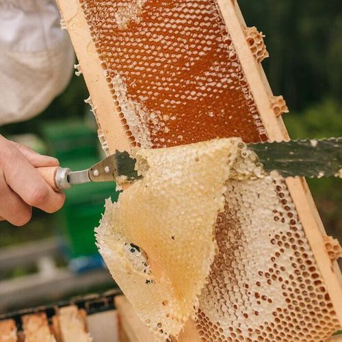 Рамочка с сотовый мёдом 2026 Рамочка с сотовый мёдом 2026