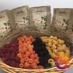 Ежевичная кантата